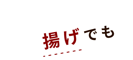 揚げでも